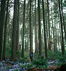 Filename=014.jpg
Filesize=7941KiB
Dimensions=3600x2400
Date added=Dec 12, 2025 014.jpg